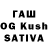 Псилоцибиновые грибы GOLDEN TEACHER KrayD VVV