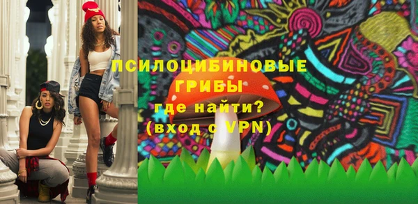 не бодяженный Пересвет
