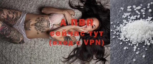 дживик Осташков