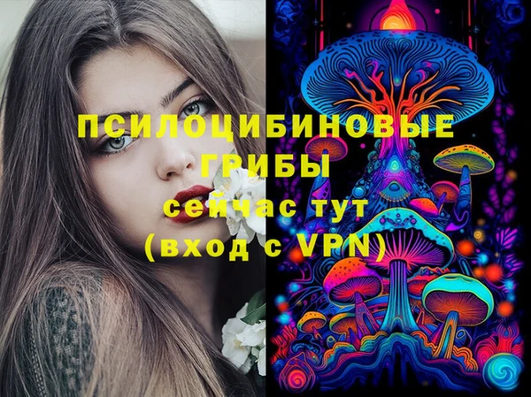 гашик Нязепетровск