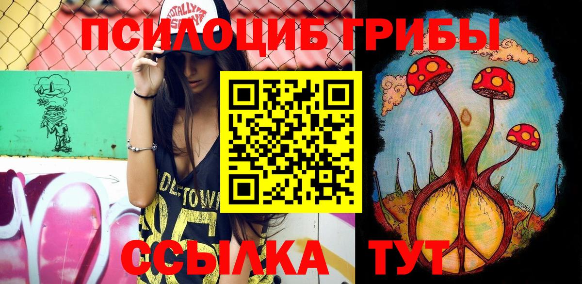 Псилоцибиновые грибы Psilocybine cubensis  Зима 