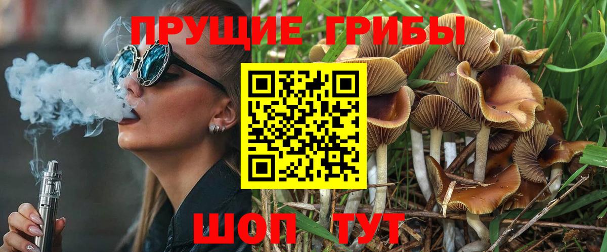 Псилоцибиновые грибы GOLDEN TEACHER Зима