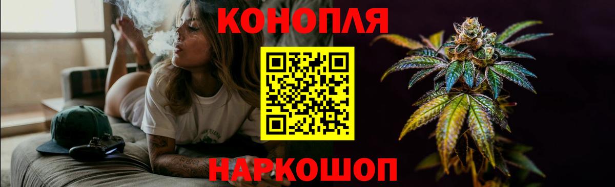 Канабис OG Kush Зима